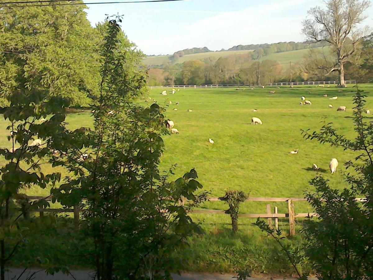 The Crown Inn Alvediston Экстерьер фото