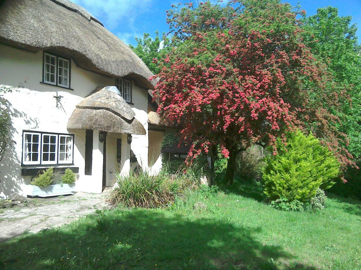 The Crown Inn Alvediston Экстерьер фото