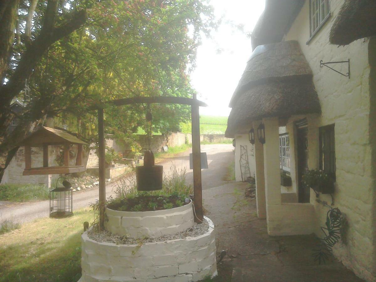 The Crown Inn Alvediston Экстерьер фото